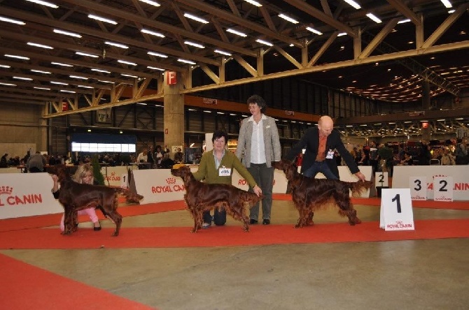 De la cour saint florent - expo de Fribourg en Suisse