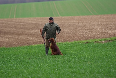 De la cour saint florent - Concours de chasse de printemps