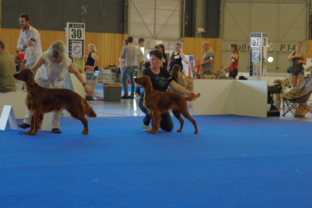 De la cour saint florent - championnat de France 2019