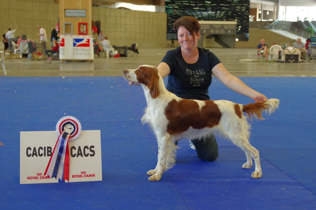 De la cour saint florent - championnat de France 2019