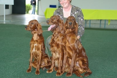 De la cour saint florent - expo canine de Saarbrucken