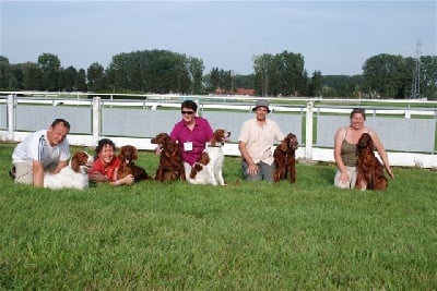 De la cour saint florent - expo canine de Strasbourg