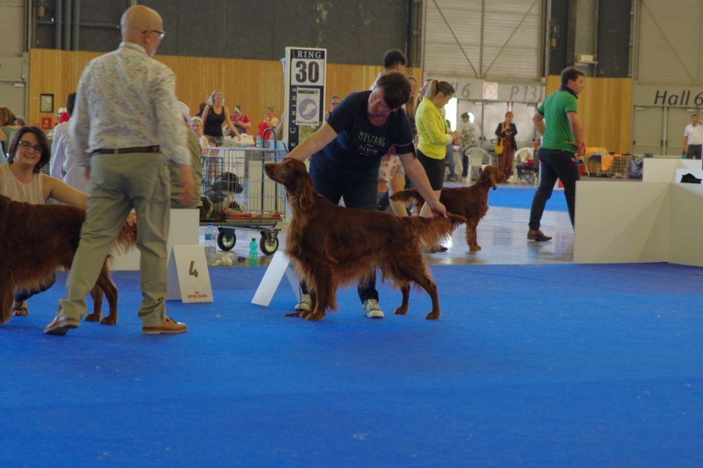 De la cour saint florent - championnat de France 2019