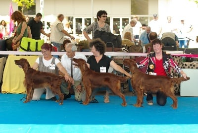 De la cour saint florent - Championnat de France 2012