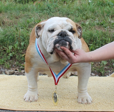 de La Tatumière - Dog Show Luxembourg - le 08/09/2013