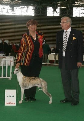 Du manoir de la grenouillère - CHAMPIONNAT DE FRANCE SCC LYON 2008