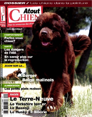 Amberstill - Atout chien Magazine