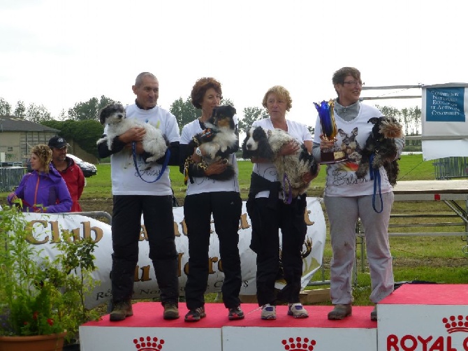 des tendres caresses - Encore une deuxième place au trophée par équipe