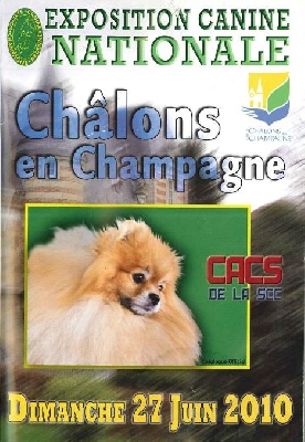 des tendres caresses - Chalons en Champagne