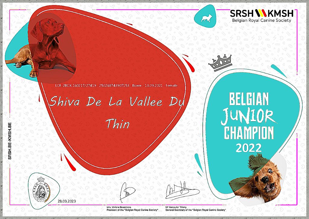 De la vallee du thin - CHAMPION JUNIOR