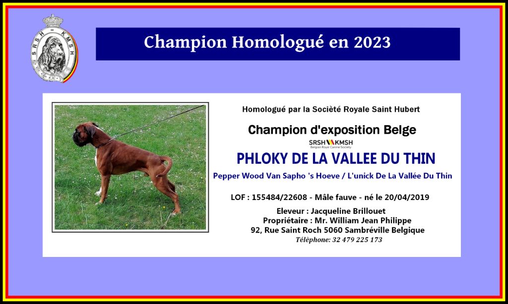 De la vallee du thin - PHLOKY champion de la ROYALE SAINT HUBERT