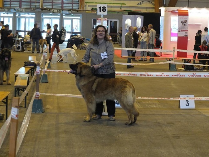 du Bouc D'Or - Colmar 2014