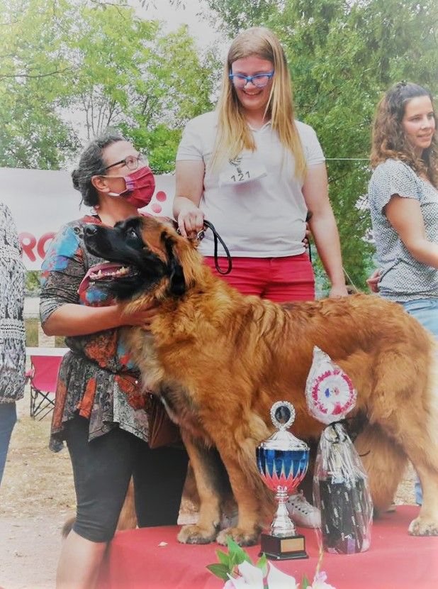 du Bouc D'Or - LAENA Reine de CLUNY  6 ans après sa maman Faena