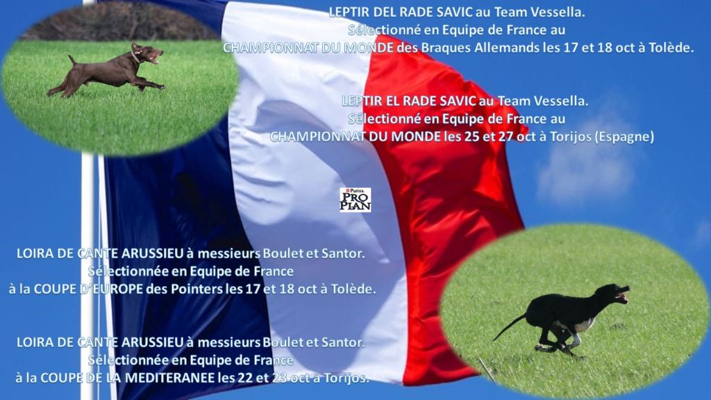 Best of Farolave - SELECTIONS EN EQUIPE NATIONALE