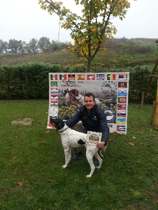 Best of Farolave - CHAMPIONNAT D'EUROPE DES POINTERS