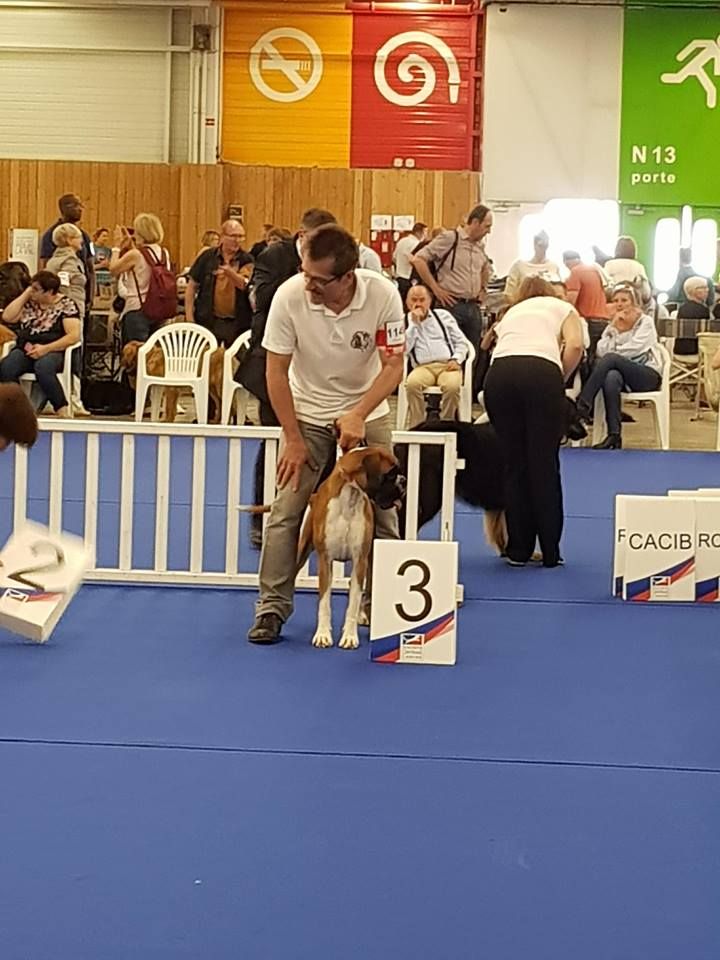 de la demeure ballanaise - Championnat de France le  02/06/18 (Le Bourget)