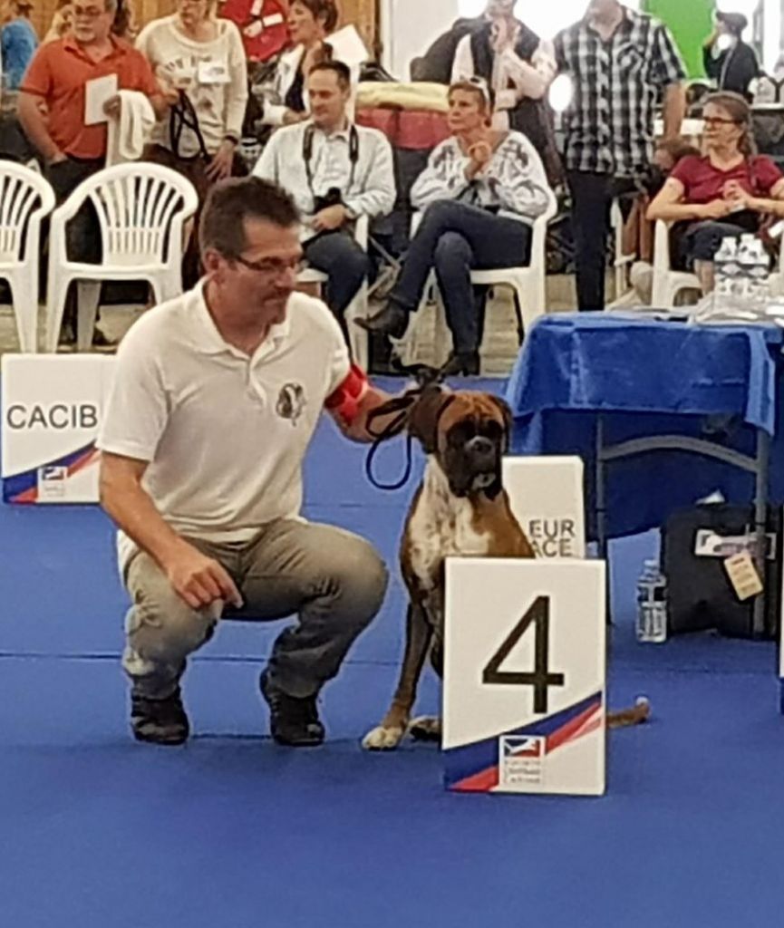 de la demeure ballanaise - Championnat de France le 02/06/18 (Le Bourget)