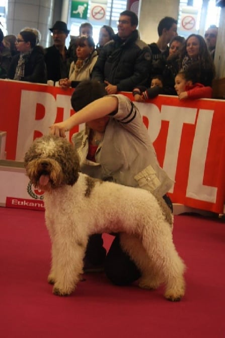 Junior au salon de l'agriculture 2014