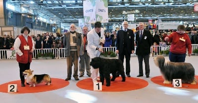 Salon de l'agriculture de Paris 2009