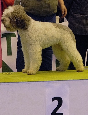 De la forêt des hauts de galgals - Camerata au concours général agricole 2012