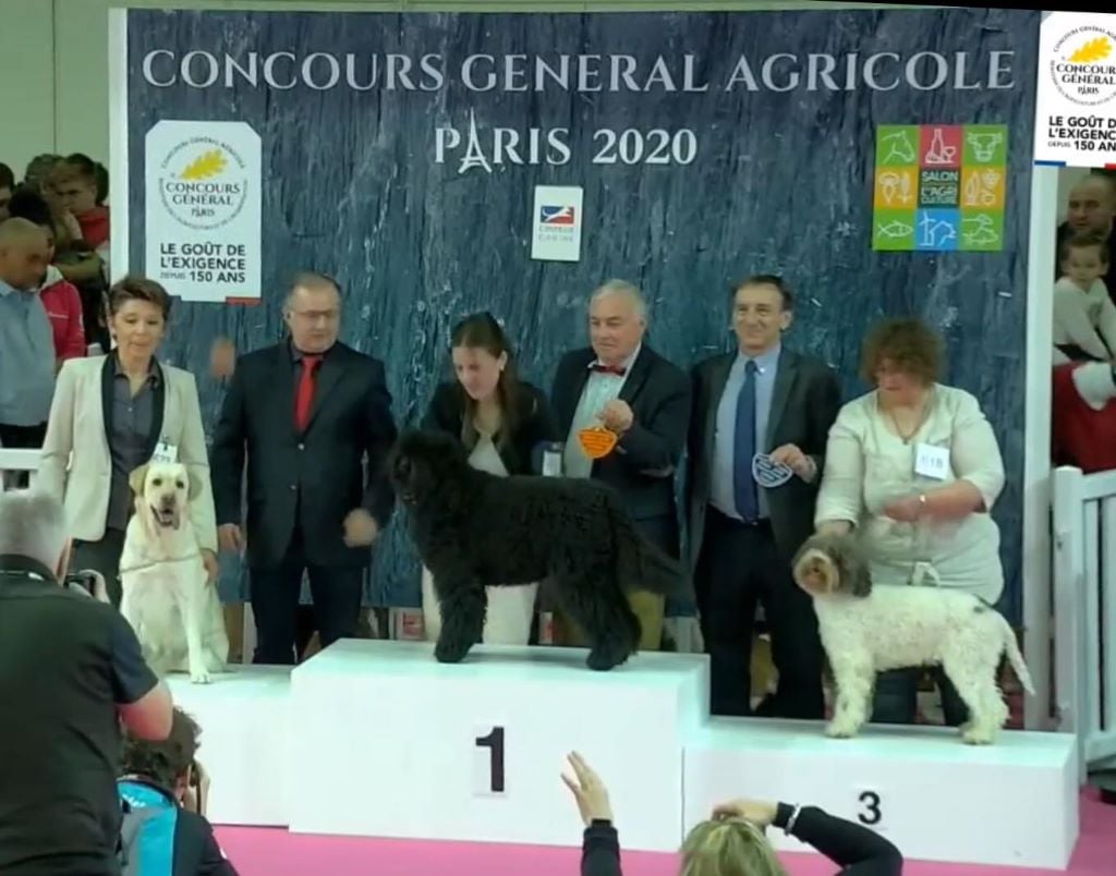 Concours agricole 2020