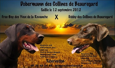 des collines de Beauregard - Mariage Septembre 2012