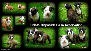 nos amis ont des bebes !!!