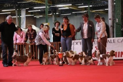 du pré au comte - Expo de Maubeuge