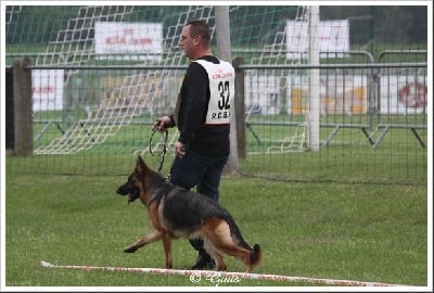 des trois fils Aymonds - CHAMPIONNAT DE BELGIQUE 2009