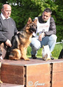 des trois fils Aymonds - GERFO des 3 Fils Aymonds