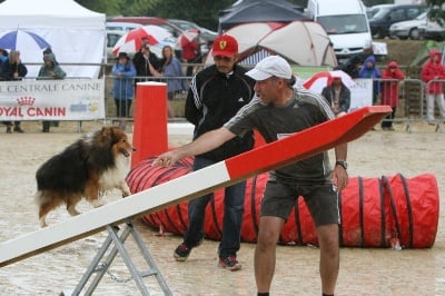 Of still river - Agility Finale des Masters