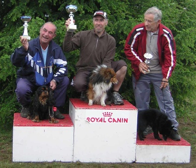 Of still river - Agility: CHAMPIONNAT REGIONAL