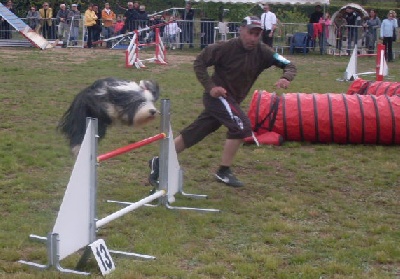 Of still river - Agility Championnat Régional