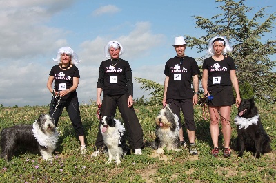 Of still river - Agility:Sélectif par équipe: BELLE en Finale ...