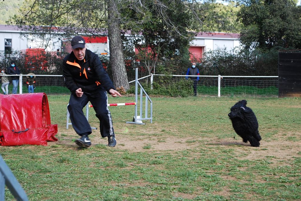 Agility: sélectif GPF