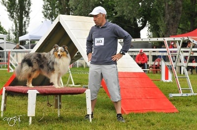 Agility: Championnat Régional