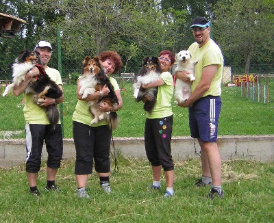 Of still river - Agility: Sélectif Trophée par équipe