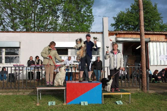 Agility: GHOST Champion Régional !!