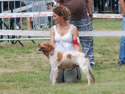 De la Pinède aux Oliviers - Présentation d' Azzura à la NE le 5 juillet 2009