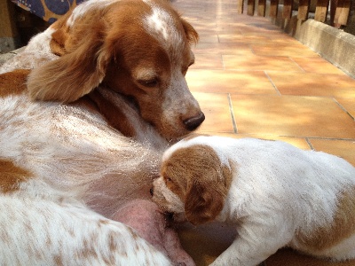 De la Pinède aux Oliviers - Un moment de tendresse.....!!!