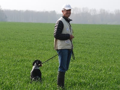 De la Pinède aux Oliviers - Field Trial de Printemps au Bourg Dun