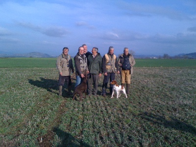 De la Pinède aux Oliviers - Field Trial du Puy en Velay