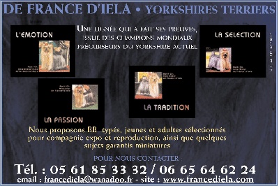 de France D'Iela - LE SAVOIR FAIRE FRANCE D'IELA