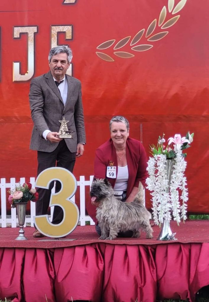 du Harpouy D'Auzan - Abania International Dog Show 3 nouveau Champions