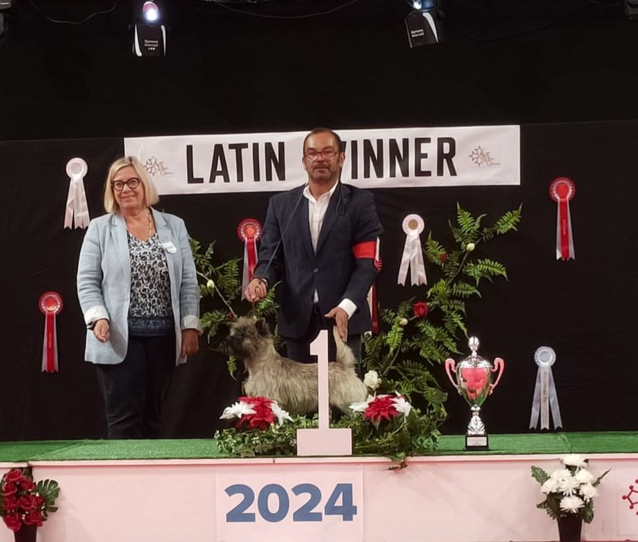 du Harpouy D'Auzan - Exposition Canine  Internationale Toulouse Balma 2024