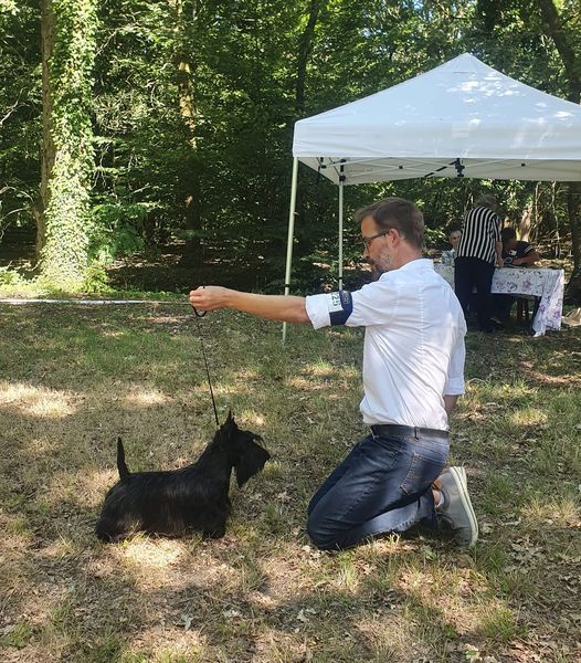 du Harpouy D'Auzan - Presqu'île d'Ambes Exposition Nationale