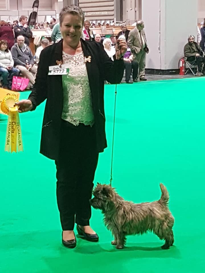 du Harpouy D'Auzan - Crufts 9 Mars 2018 Birmingham Junior Bitch