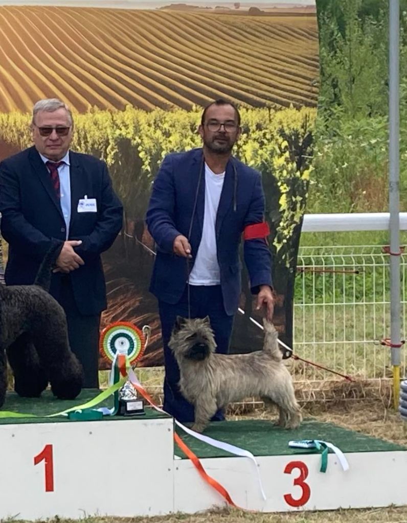 du Harpouy D'Auzan - Exposition Canine Nationale de Jarnac  07/07/24