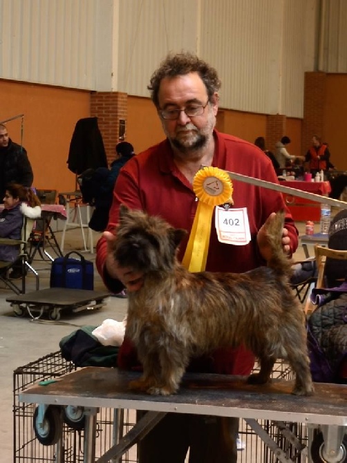 du Harpouy D'Auzan - Exposicion Internacional Pirineos Aragón Winner