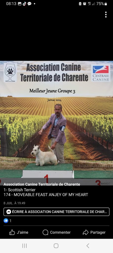 du Harpouy D'Auzan - Exposition Canine Nationale et Internationale Périgueux 8 & 9 JUIN 24